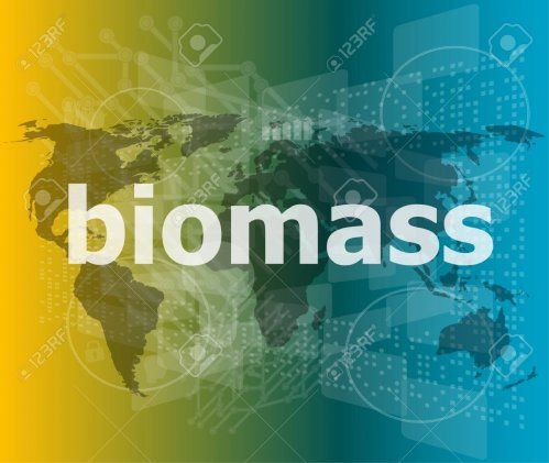 80089328 biomass word on digital touch screen background